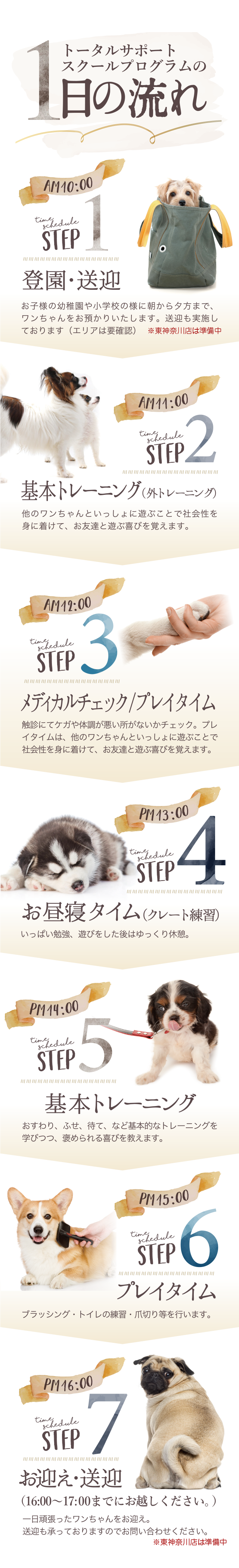1日の流れ